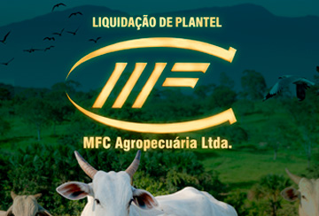 LIQUIDAÇÃO DE PLANTEL MFC AGROPECUÁRIA