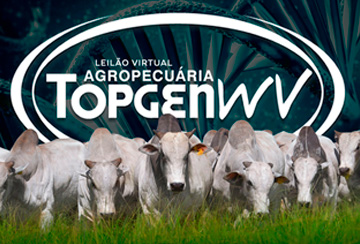 LEILÃO VIRTUAL AGROPECUÁRIA TOPGEN WV