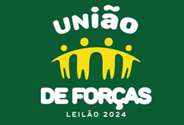 LEILÃO UNIÃO DE FORÇAS