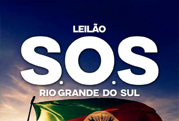 LEILÃO S.O.S RIO GRANDE DO SUL