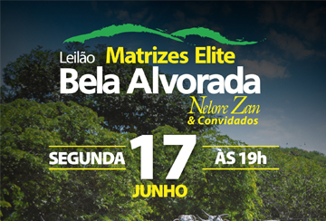 LEILÃO MATRIZES ELITE BELA ALVORADA NELORE ZAN & CONVIDADOS